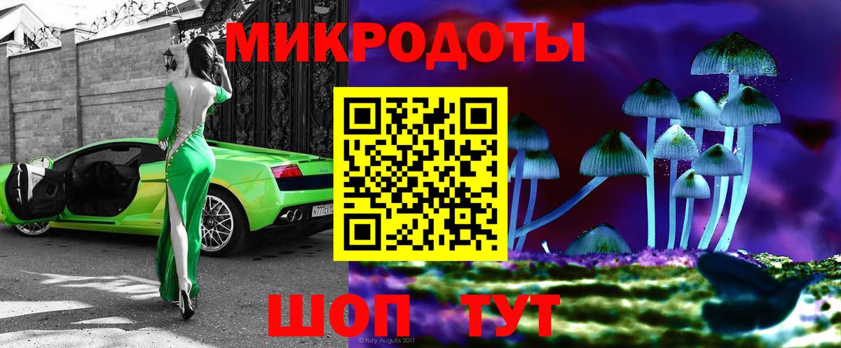 Псилоцибиновые грибы Cubensis  Вход с VPN  Ессентуки 